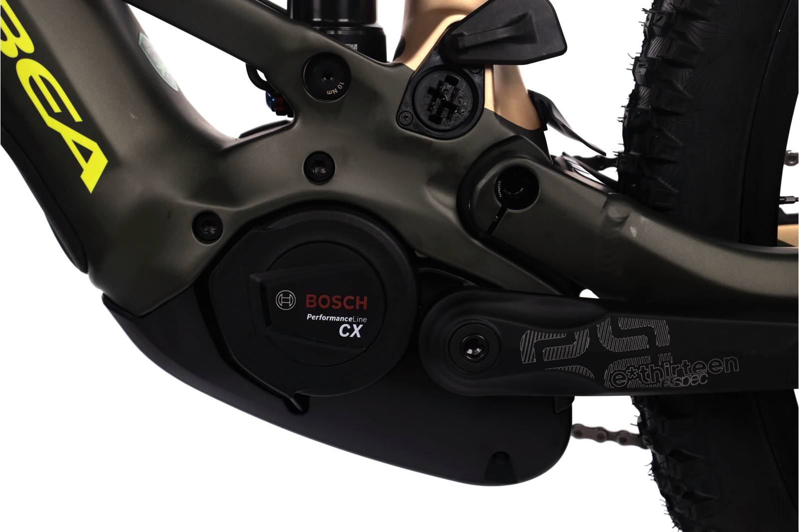 Orbea Wild H20