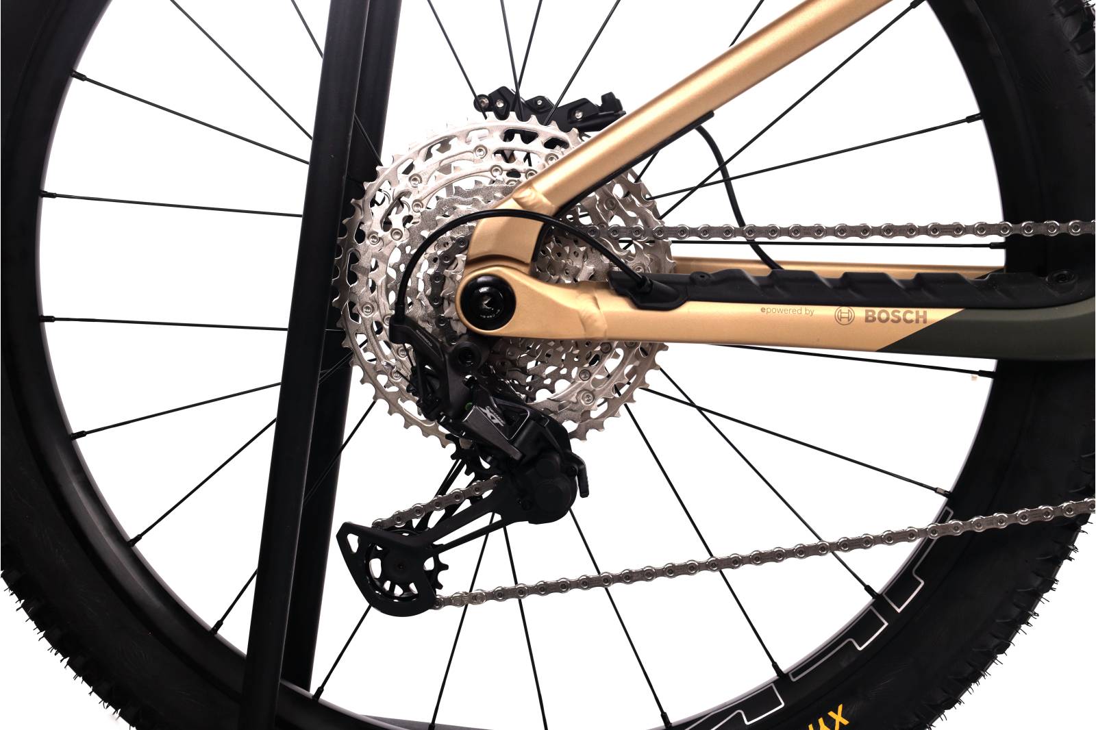 Orbea Wild H20