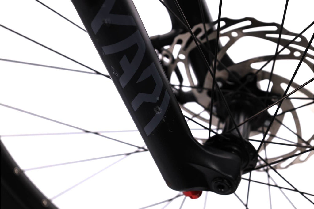 Bianchi e-Omnia E-OMNIA FX Type FS GX