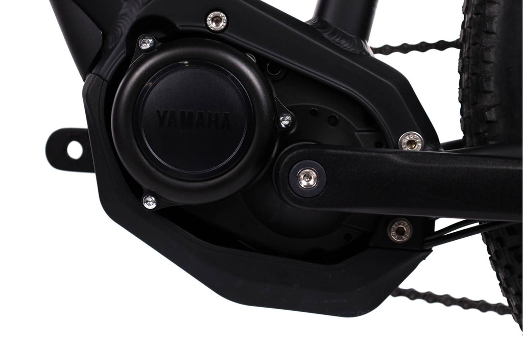 Raymon  HardRay  E 2.0