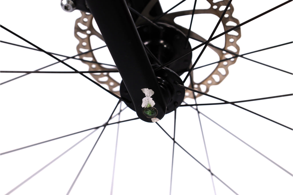 Giant TCR Advanced 1